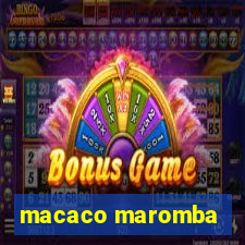 macaco maromba