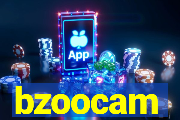 bzoocam