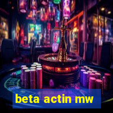 beta actin mw