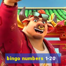 bingo numbers 1-20