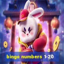 bingo numbers 1-20