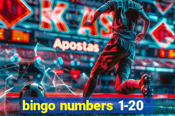 bingo numbers 1-20