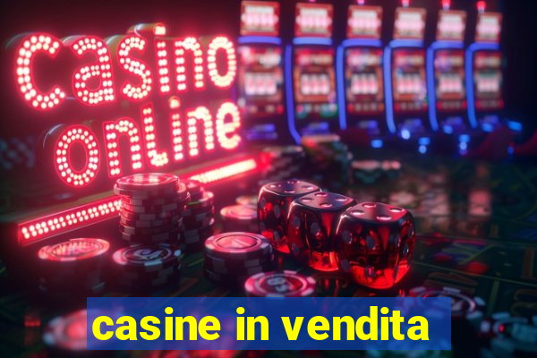 casine in vendita