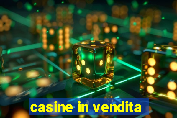 casine in vendita