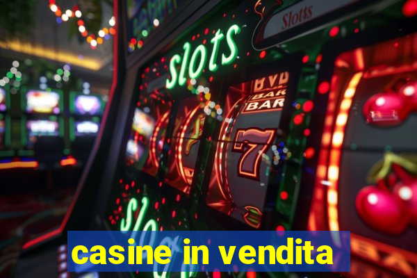 casine in vendita