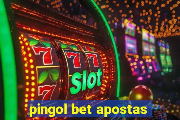 pingol bet apostas