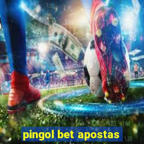 pingol bet apostas