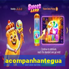 acompanhanteguanambi