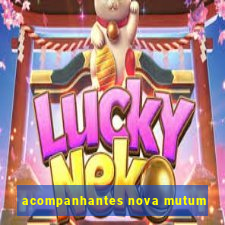 acompanhantes nova mutum