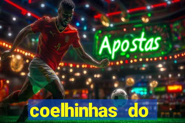 coelhinhas do brasil acompanhantes