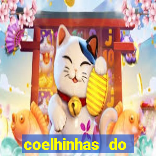 coelhinhas do brasil acompanhantes