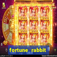 fortune rabbit baixar Informational