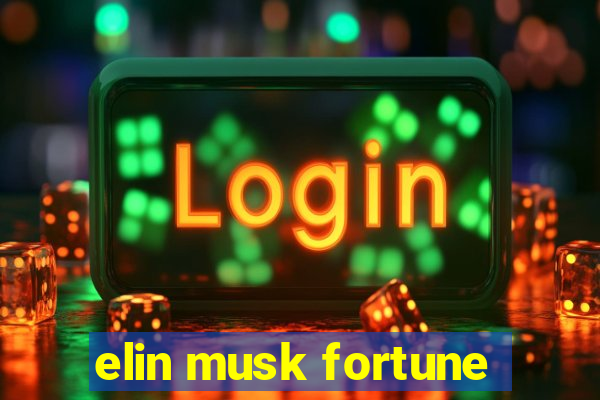 elin musk fortune