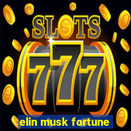 elin musk fortune