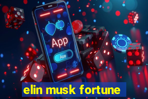 elin musk fortune