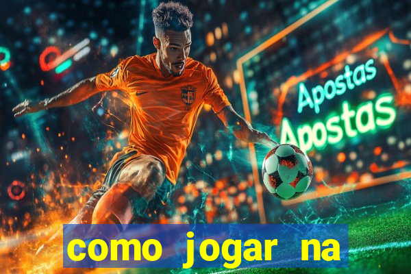 como jogar na lotinha do jogo do bicho