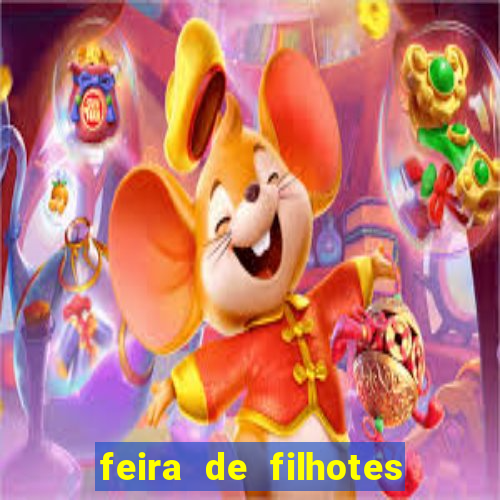 feira de filhotes porto alegre