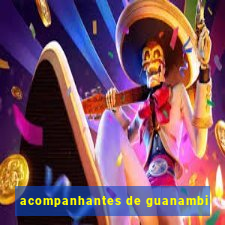 acompanhantes de guanambi