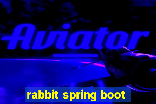 rabbit spring boot