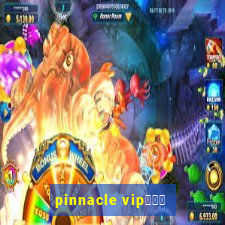 pinnacle vipコード