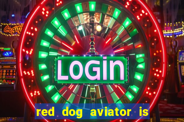 red dog aviator is real or fake