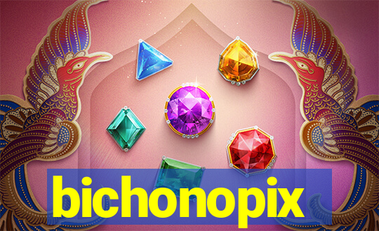 bichonopix