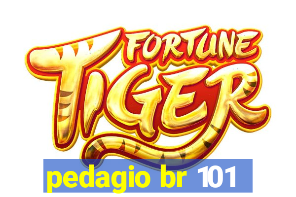 pedagio br 101