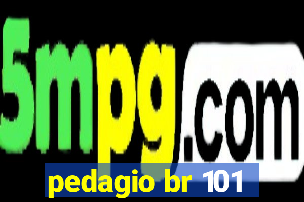 pedagio br 101