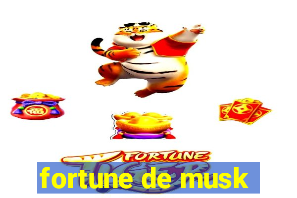 fortune de musk