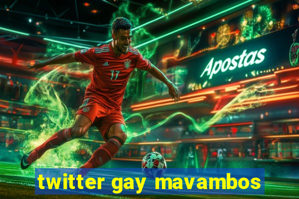 twitter gay mavambos