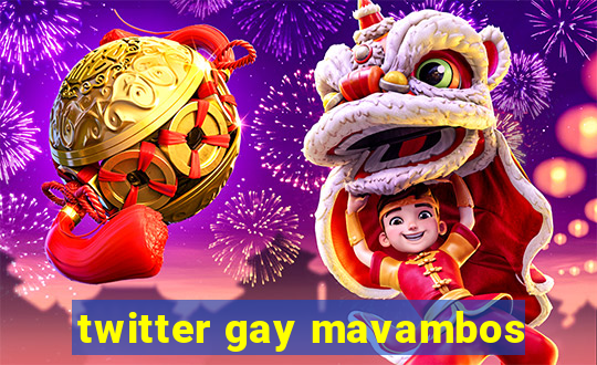 twitter gay mavambos