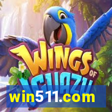 win511.com