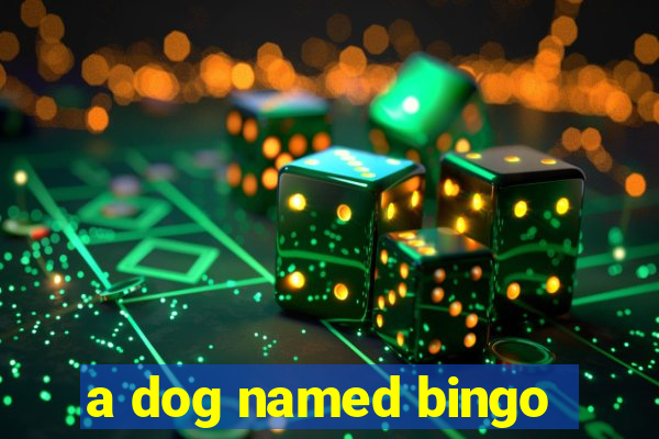 a dog named bingo