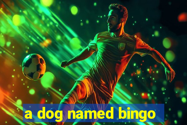 a dog named bingo