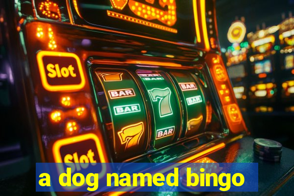 a dog named bingo