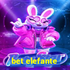 bet elefante