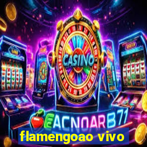 flamengoao vivo