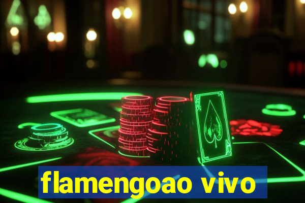 flamengoao vivo