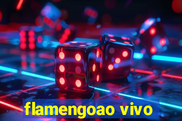 flamengoao vivo