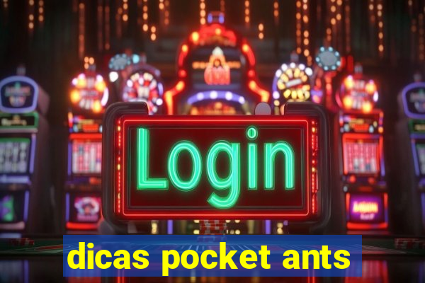 dicas pocket ants