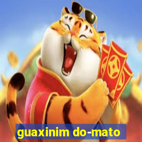 guaxinim do-mato