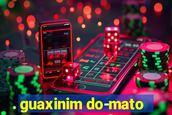 guaxinim do-mato