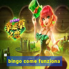 bingo come funziona