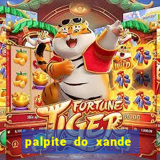 palpite do xande para hoje