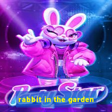 rabbit in the garden