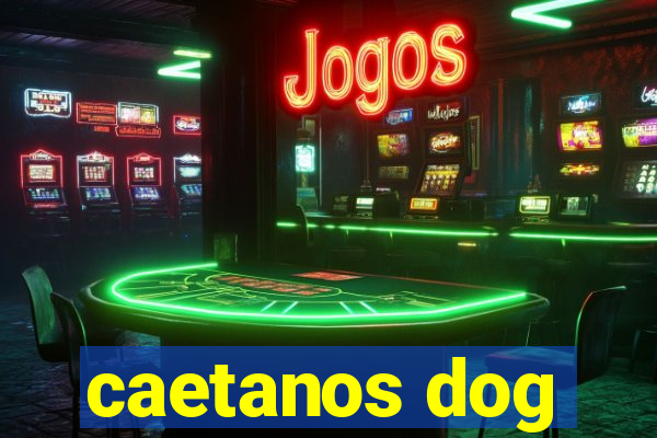 caetanos dog