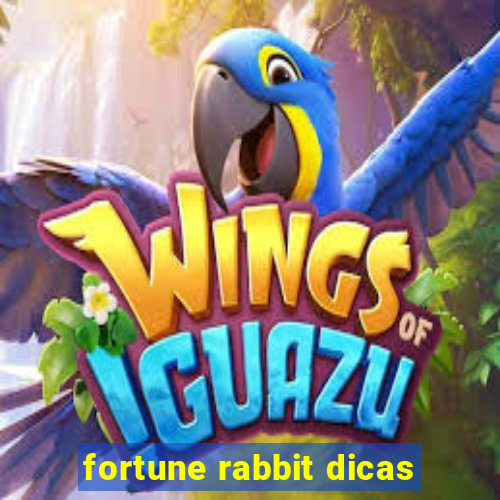 fortune rabbit dicas