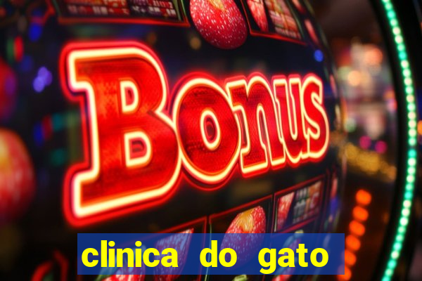 clinica do gato porto alegre