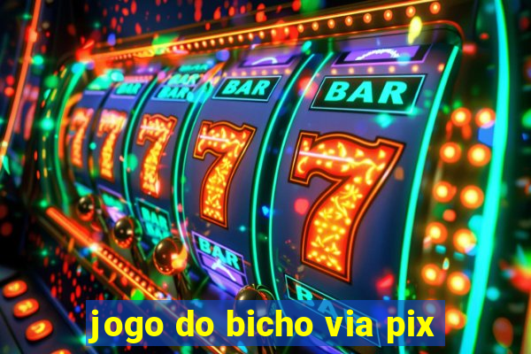 jogo do bicho via pix