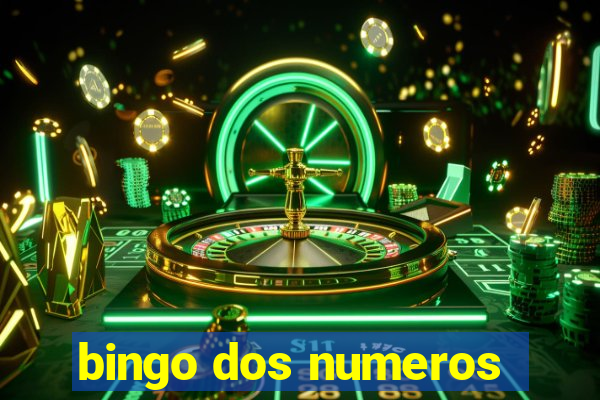 bingo dos numeros